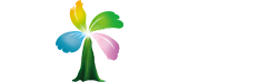 岳阳任飞网络科技有限公司